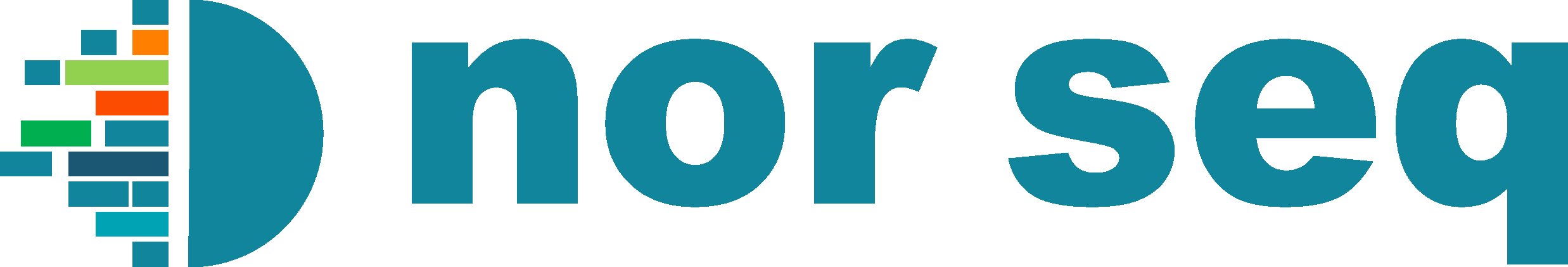 logo of Norwegian consortium for sequencing and personalized medicine (NorSeq)