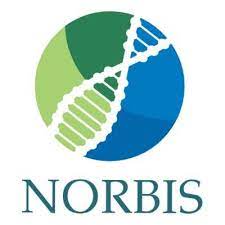 NORBIS_logo